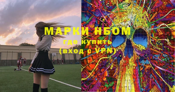 индика Зеленокумск