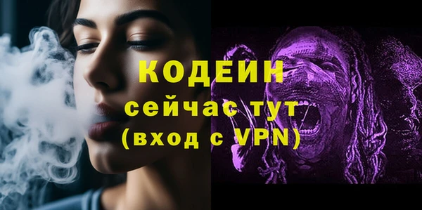 СК Мегион